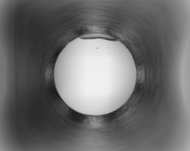 X0000088040713200706081609