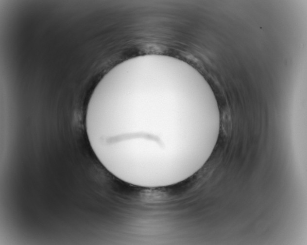 X0000088040714200706081609