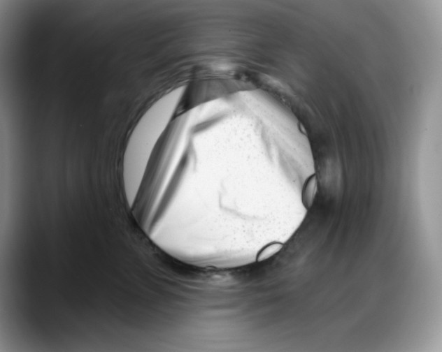 X0000088040715200706081609