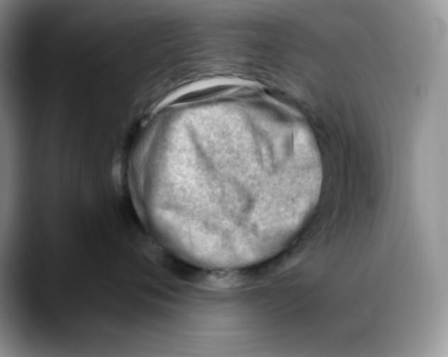 X0000088040720200706081609