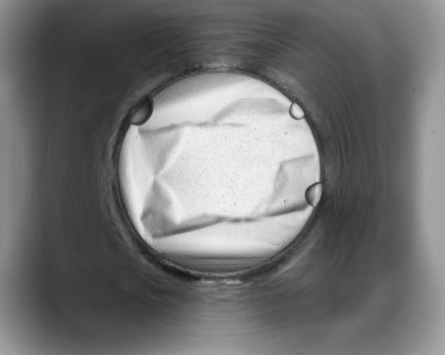 X0000088040721200706081608