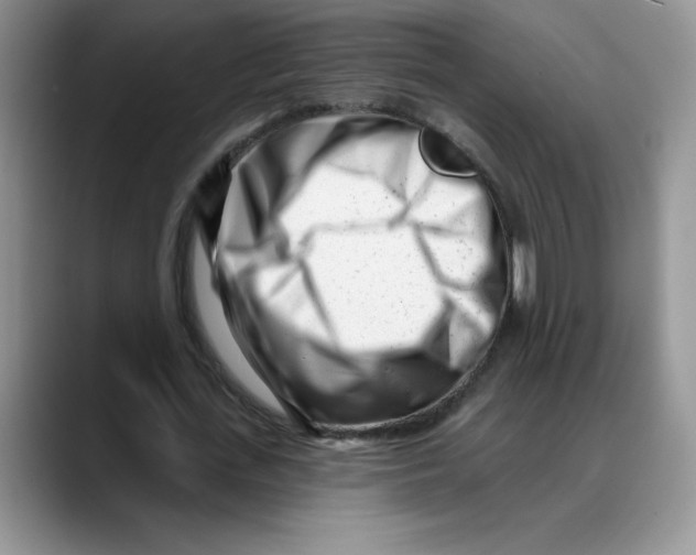 X0000088040723200706081608