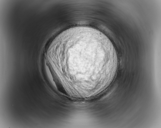 X0000088040725200706081609