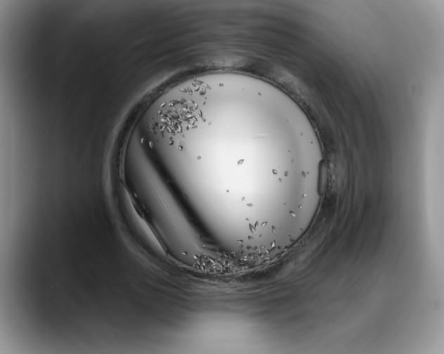 X0000088040726200706081609