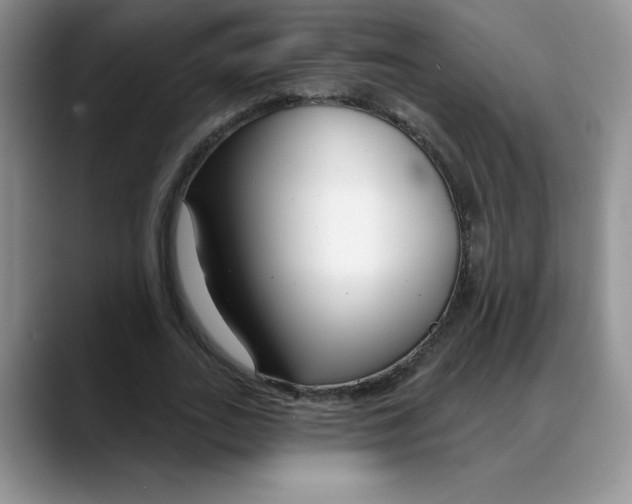 X0000088040727200706081609