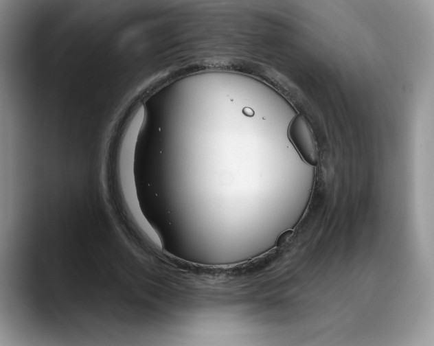 X0000088040728200706081609