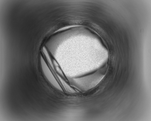 X0000088040729200706081609