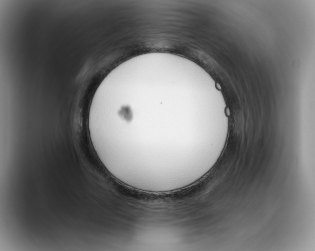 X0000088040731200706081609