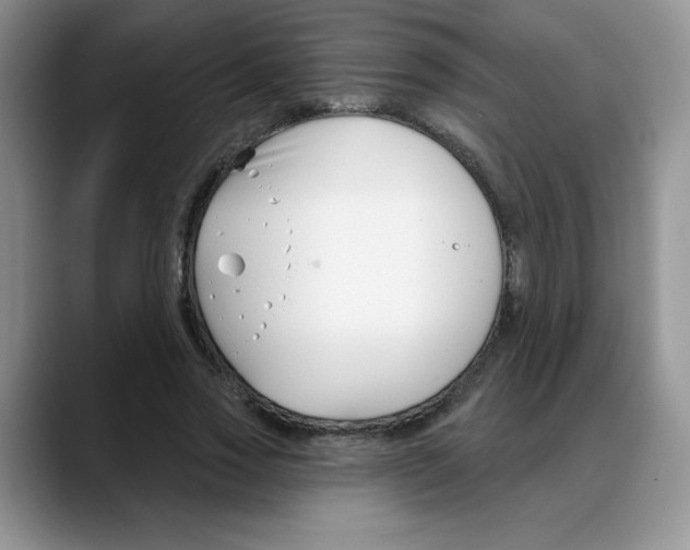 X0000088040733200706081609