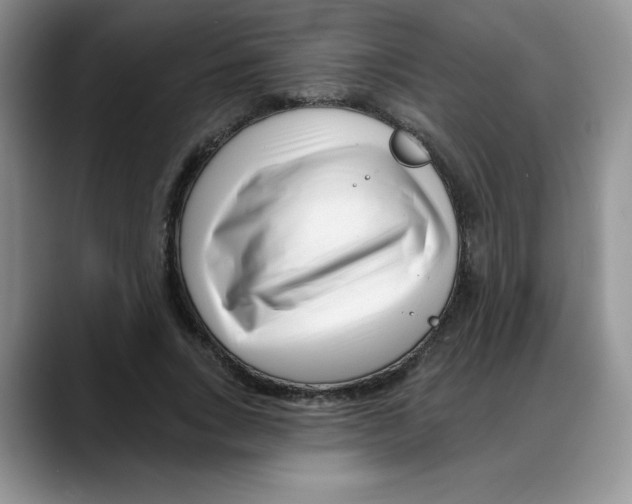 X0000088040735200706081609