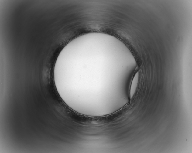 X0000088040739200706081609