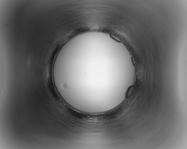 X0000088040740200706081609