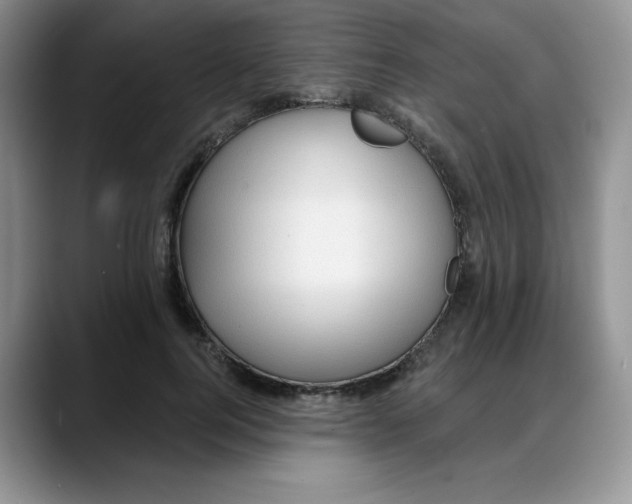 X0000088040744200706081609