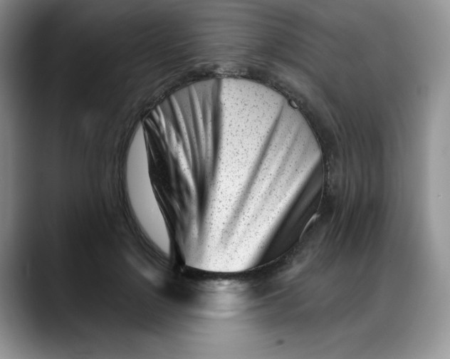 X0000088040748200706081609