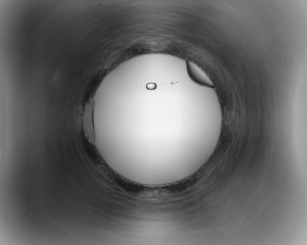 X0000088040752200706081609