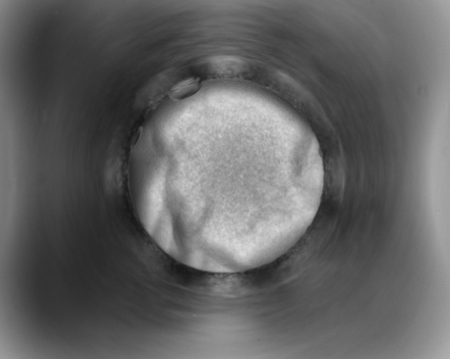 X0000088040762200706081609