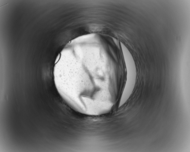 X0000088040763200706081609