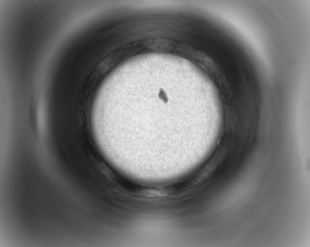 X0000088040765200706081609