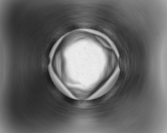 X0000088040766200706081609