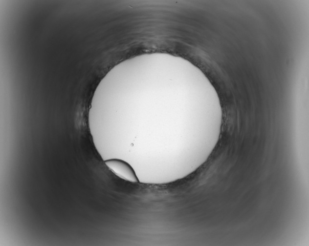 X0000088040770200706081608