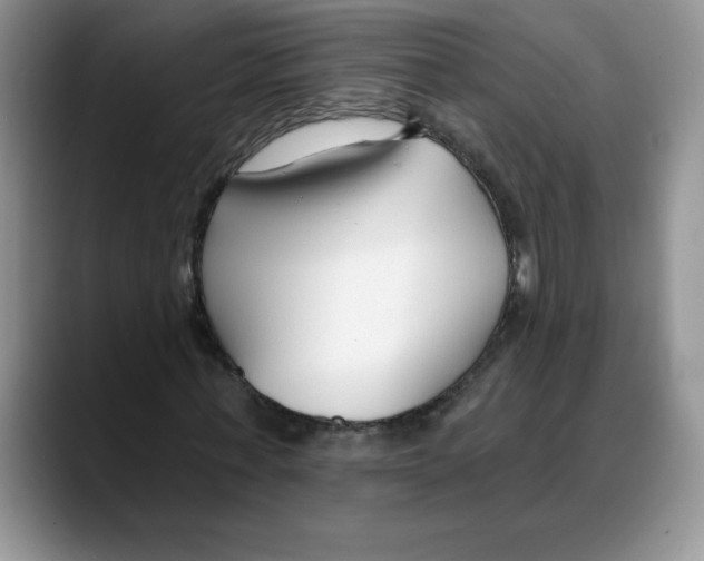 X0000088040771200706081608