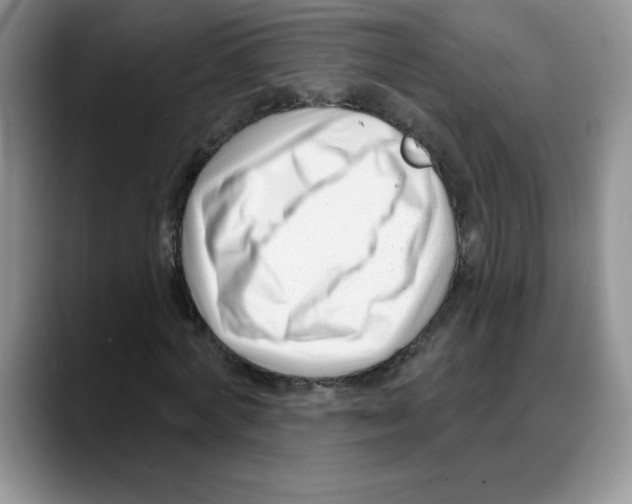 X0000088040772200706081608