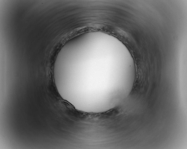 X0000088040773200706081608