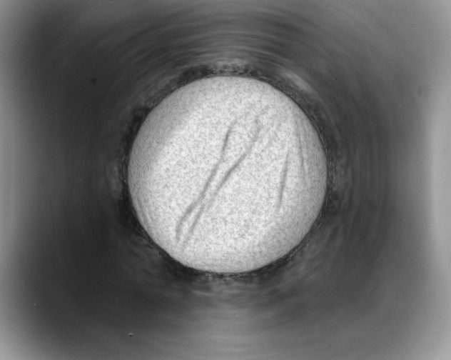 X0000088040774200706081608