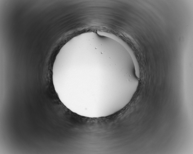 X0000088040776200706081608