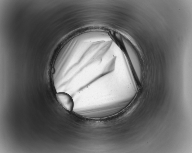 X0000088040783200706081608