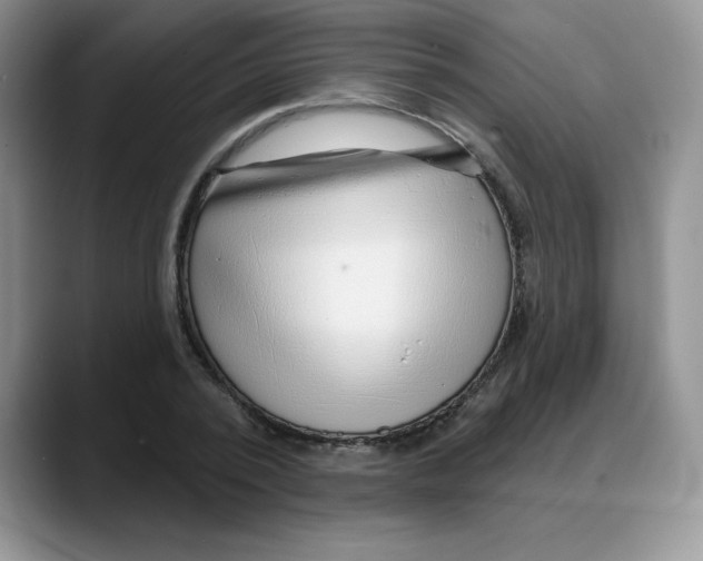 X0000088040784200706081608