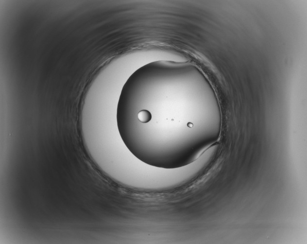 X0000088040785200706081608