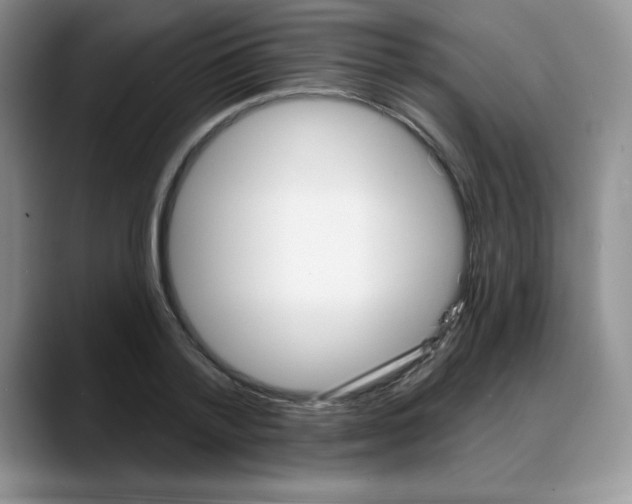 X0000088040788200706081608