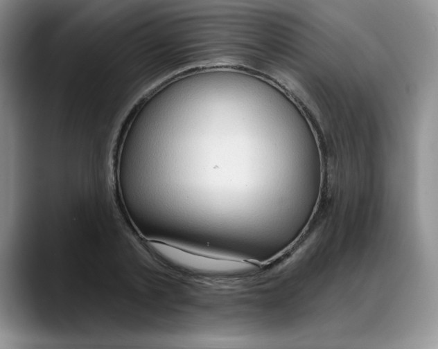 X0000088040789200706081608