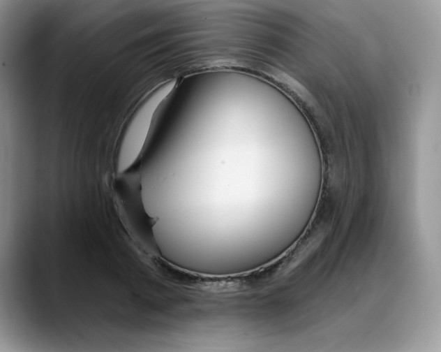 X0000088040793200706081608