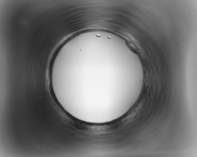 X0000088040796200706081608