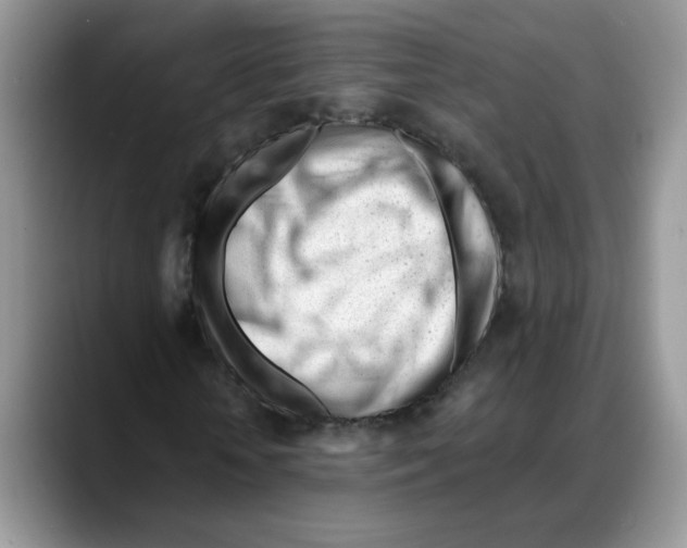 X0000088040818200706081607