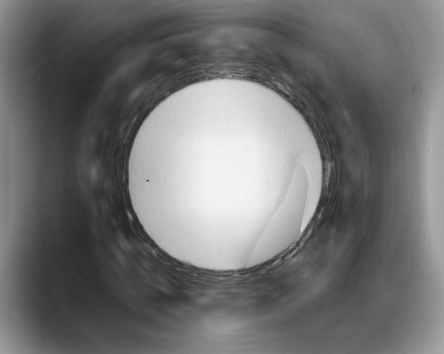 X0000088040820200706081607