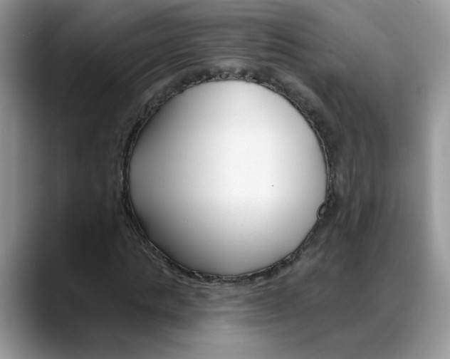 X0000088040821200706081607