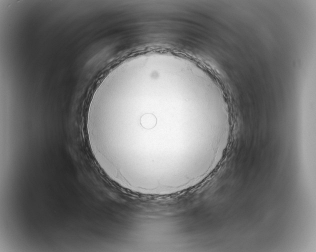 X0000088040824200706081607