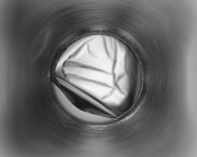 X0000088040825200706081607