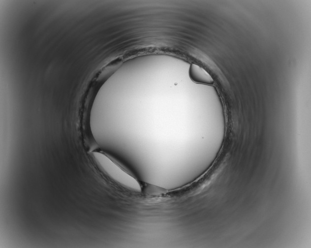 X0000088040826200706081607