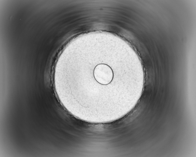 X0000088040828200706081607