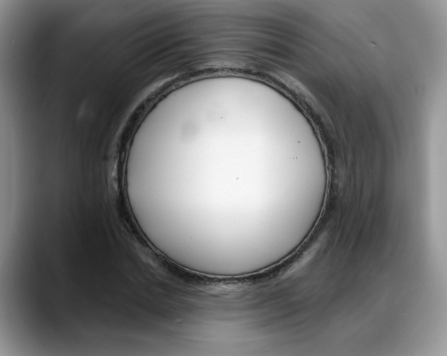 X0000088040830200706081607