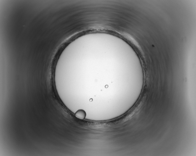 X0000088040831200706081607