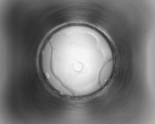 X0000088040832200706081607