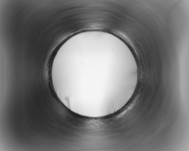 X0000088040835200706081607