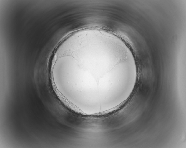 X0000088040836200706081607