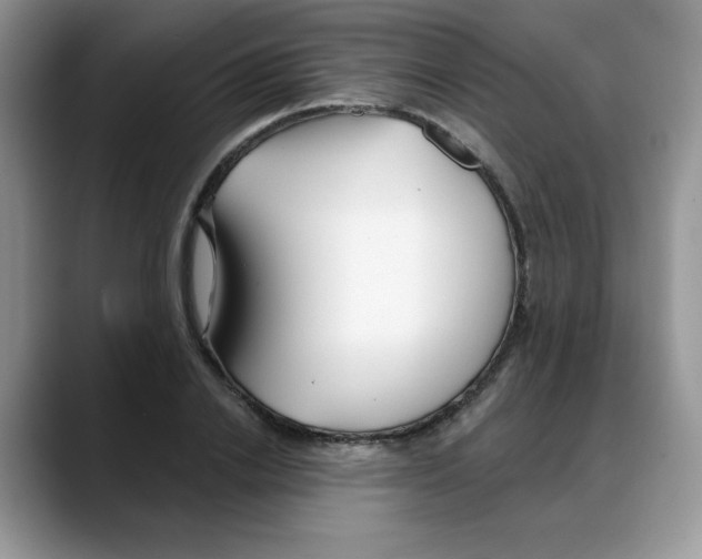 X0000088040838200706081607