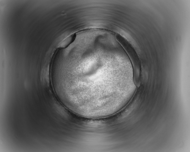 X0000088040842200706081608